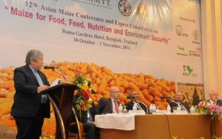 Great growth potential for maize in Asia as demand soars for animal feed but more emphasis needed to promote maize as a nutritious food for human consumption - FAO